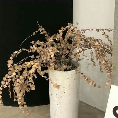 镇巴FurryQQ群介绍